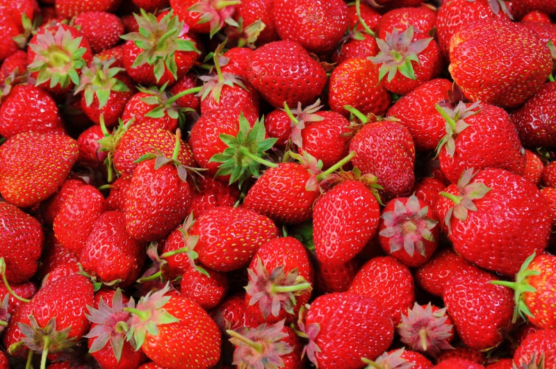 primeur-SOLLIES PONT-min_strawberries-528791